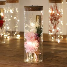 LED 유리병 프리저브드 카네이션 꽃다발 편지지 세트, 소프트핑크