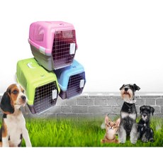 마스온 이동장 S 기내용, 블루