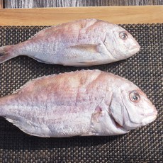 [해동찬가] 자연산 반건조 참돔, 2개, 500g
