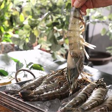 캠핑용 선물용 -45도 급속냉동 킹 블랙타이거 새우 캠핑 새우선물 왕새우 새우소금구이 새우버터구이 간장새우, 2박스, 500g ,10미