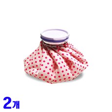 프리미엄 냉 찜질주머니 아이스팩 6인치, 2개