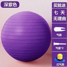 瑜伽球 升級加厚防爆 300公斤承重 附打氣筒, 磨砂款紫色 升級加厚防爆 ,75CM 氣泵 + 氣塞 + 氣拔, 紫色