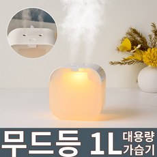 WOWWAY 미니 가습기 듀얼미스트 1L 무드등 무소음 가정용 사무실용 탁상용 가습기, 화이트
