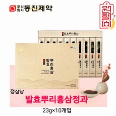 동진제약 발효뿌리홍삼 1개 230g, 23g, 10개
