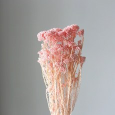 無非晴 小米花 乾燥永生花材 DIY花藝佈置 粉紅色