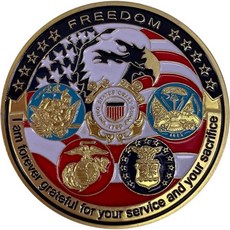 재향군인을 위한 희귀 챌린지 코인 컬렉션 미국 해군 미 육군 해안경비대 프리덤 이글 골드 도금