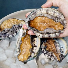 바다in연 프리미엄 활전복 1kg 완도산 산소포장, 1kg 14호 (특특대) 6-7미, 1개
