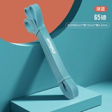 引體向上 助力帶 健身器材 阻力帶 單槓訓練器 輔助帶 彈力繩 拉力帶, 【湖藍】入門款-阻力約65磅, 1個