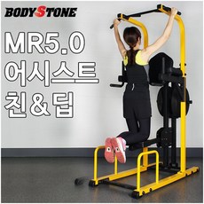 바디스톤 - 어시스트 친&딥 MR5.0/국내제작/근력운동, 바디스톤 MR5.0 레드
