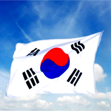게양용 태극기 국산 대형 응원용 행사용 방수태극기, 기본, 1개