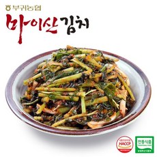 마이산김치 한국농협김치 전북 대표김치 마이산 열무김치1kg, 마이산김치 한국농협김치 전북 대표김치 마이산 열무김치1