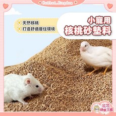 花花萌寵王國 小寵用核桃砂墊料 倉鼠蘆丁雞適用 舒適環境易清理, 1個, 小寵用核桃砂墊料｜分裝包500g
