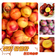 [굿피플] 꿀당도 천도(신선)복숭아 복숭아 제철천도(신선)복숭아, 1개, 천도복숭아(신선) 4kg 20-45과