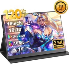 ZETYPE 2.5K QHD 게임용 120Hz 16인치 포터블 모니터 DEX 초경량 휴대용 모니터 UGame, 40.64cm, M156B03