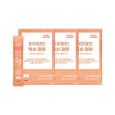 장인정신 에브리데이 마이파인 액상 철분, 450g, 3박스
