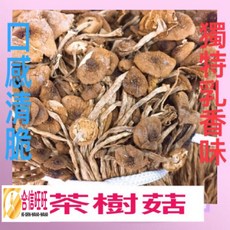 合信蔘藥 茶樹菇, 1個