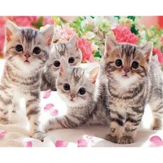 더영흥 보석십자수 ( 캔버스형 ) 30 x 40 cm DIY 풍수 해바라기 사과, 1개, 고양이 네마리