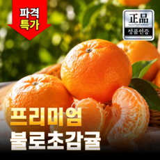 제주직송 새콤달콤 황금향 불로초 감귤, 1박스, 로얄 3kg