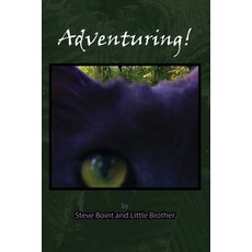 (영문도서) Adventuring! Paperback, Independently Published, English, 9798332018312