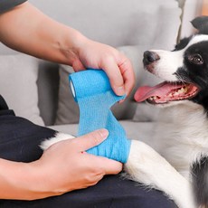 스타일도기 강아지 신발 붕대 양말, 블랙, 1개