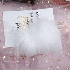 微景小舖 馬卡龍彩色鵝毛羽毛 捕夢網DIY材料 禮品盒填充裝飾 約90-100支, 1個, 白色,一包約90~100支左右, 白色