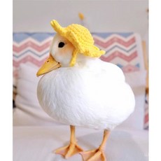 萌寵柯爾鴨衣服，手工蝴蝶結項圈圍脖帽子，溜鴨寵物鴨子布兜用品，可愛鴨鴨時尚穿搭, 花朵繩結項圈,S-小型, 1個