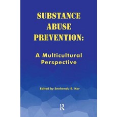 (영문도서) Substance Abuse Prevention: A Multicultural Perspective Paperback, Routledge, English, 9780415784719