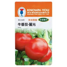 KNOWN-YOU 麗光牛番茄種子 家庭園藝 特選品種 豐產多汁 口感鮮甜 陽台盆栽, 1個