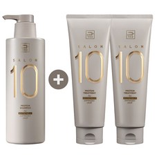 미쟝센 살롱10 단백질 극손상모발용 샴푸 500ml x1개+트리트먼트 250ml x2개, 1세트