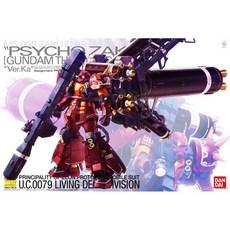 BANDAI 鋼普拉 雷霆宙域戰線 MG 1/100 ZAKU II Ver.Ka 高機動腦波傳導型薩克 精神感應薩克, 1個, 宅配, 不拆盒