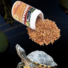 투유샵 거북이 건새우사료 특식