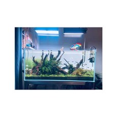 백라이트 백스크린 수족관 어항 고휘도 40x30 + 앱 타이밍 LED 순수한 흰색, 2. 40x30 순백+APP 타이머, 1개