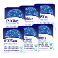포스파티딜세린 식약처인증 징코 인지력 기억 개선 브레인부스트, 6개, 6개월, 60정