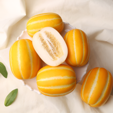 고당도 성주 꿀 참외 산지직송, 1박스, 2kg