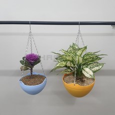 공중 화분 실내공중화분, 1개