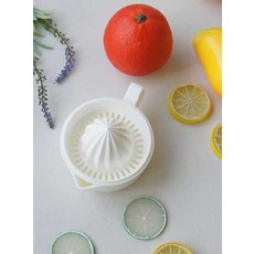 레이카 과일 착즙기 일체형