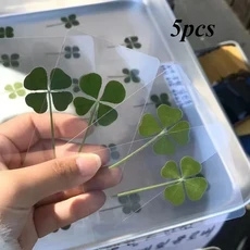 1개 행운의 네잎 클로버 엽서 천연 잔디 투명 소원 카드 치유 신선한 심플한 바람 선물, [02] green-5pcs