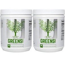 유니버셜뉴트리션 그린 파우더, 300g, 2개