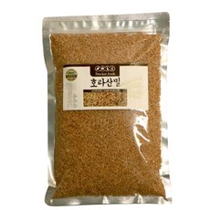 씨탑 [씨탑] 2023년 고대곡물 호라산밀 1kg 오늘 출발 CTOP, 1개