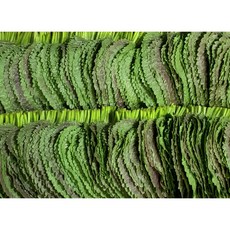 [GAP인증]열음농장 밀양깻잎 당일수확 당일출하 농장직송, 500g, 1개