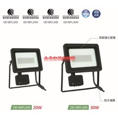 舞光 DANCELIGHT OD-SEFL30D 微波感應泛光燈 防水, 1個, 30W,白光6500K
