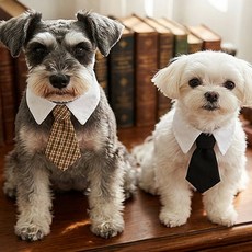 채우기 강아지 화견 카라 넥타이 화견옷, S 블랙