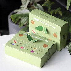 원예체험활동 씨드볼 만들기 씨앗 재배키트 교육용 반려식물 체험학습 자연학습 모종, 스위트바질