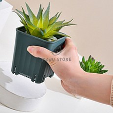 [마누상점] 플라스틱화분 인테리어미니화분 사각화분 플라스틱 사각 다육 화분 8cm
