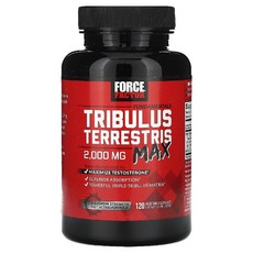 포스팩터 트리블러스 Fundamentals Terrestris 맥스 2000mg 120정, 1개, 기본