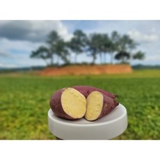 푸른뜰 고구마 못난이 꿀고구마 호박고구마 철야마루, 1개, 호박 5kg 못난이