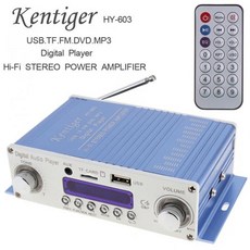 Kentiger DC 12V 하이파이 디지털 FM 라디오 오디오 플레이어 자동차 앰프 스테레오 SD USB DVD MP3 입력 지원, 01 CHINA