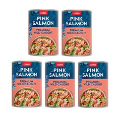 [대용량] 콜스 알래스카 핑크 연어 살몬 Coles Salmon Pink, 5개, 415g