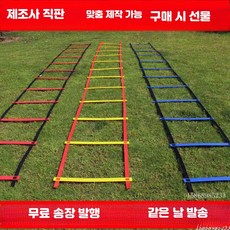 축구 민첩성 훈련 로프 사다리 체력 점프 훈련용, 1개, T_12m24섹션가방포함
