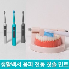 생활백서 음파 전동 칫솔 양치 구강 위생 충치 민트, 1개